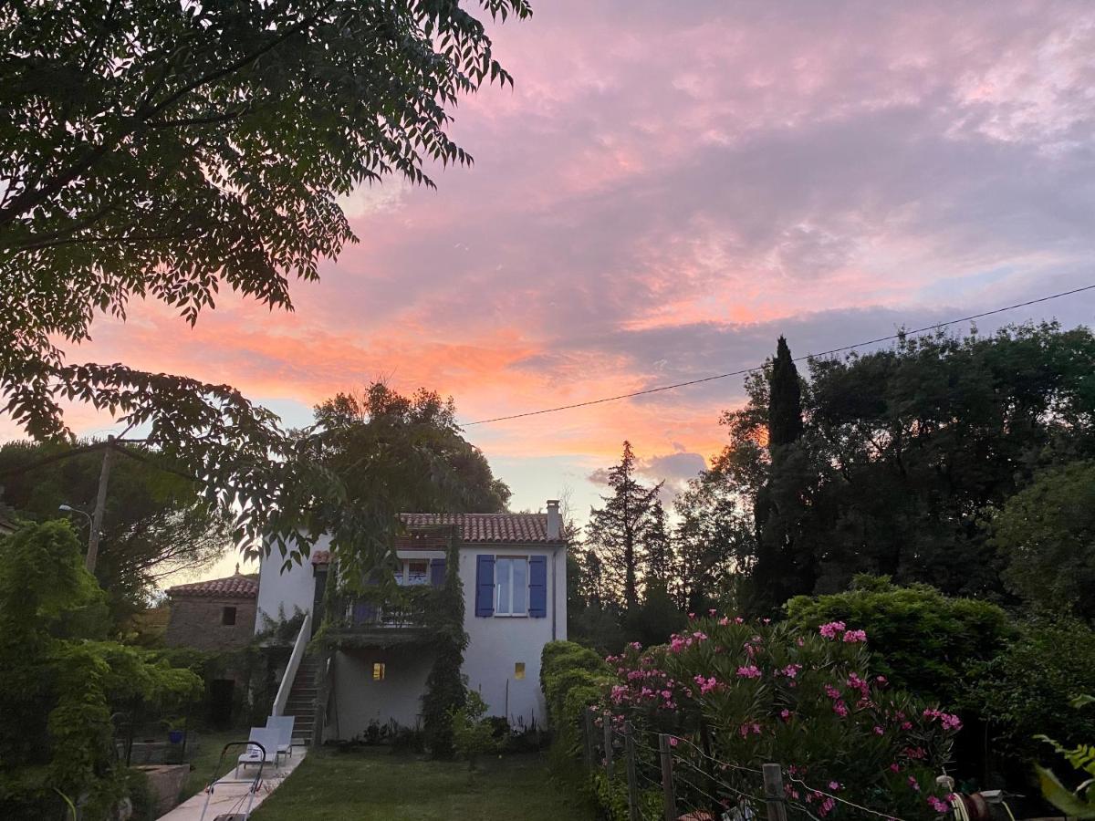 Petite Maison De Charme - Le Jardin Secret D'Alice Roquebrune-sur-Argens Eksteriør bilde